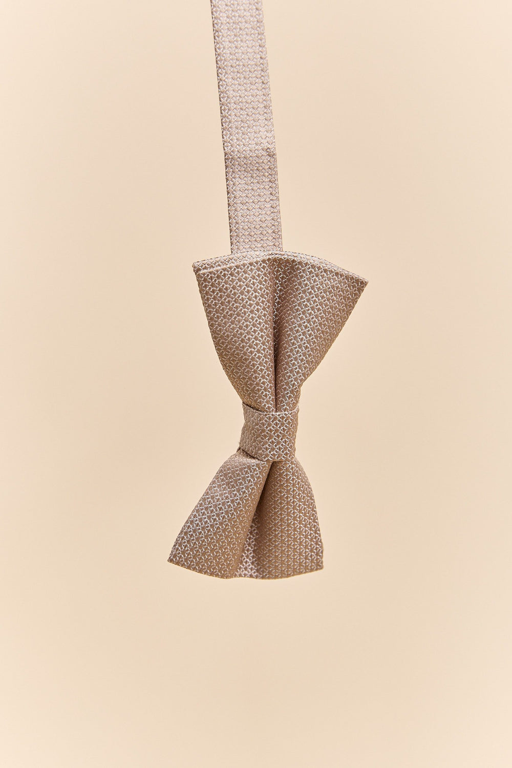 Silk bowtie