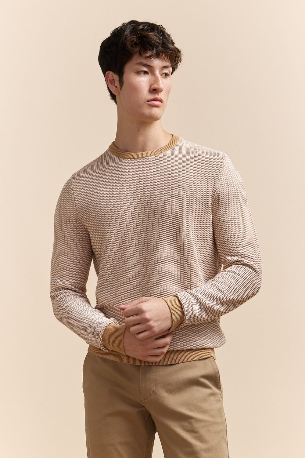 Two Tone Textured Crew Neck Sweater