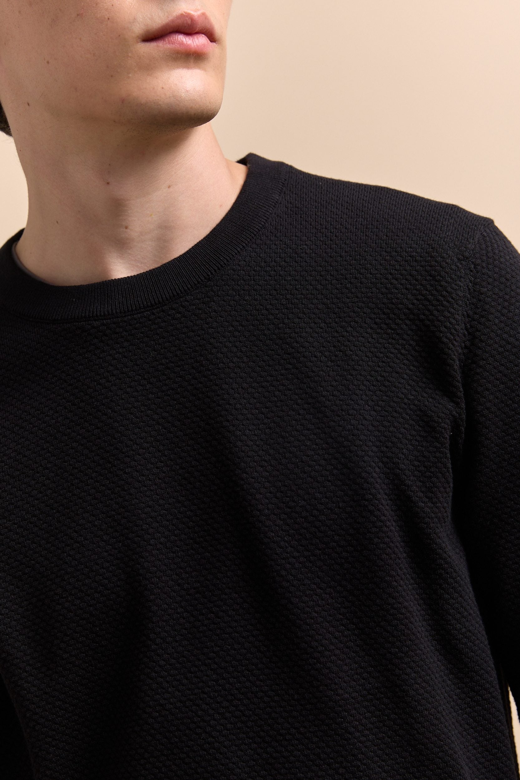 Textured crew neck sweater