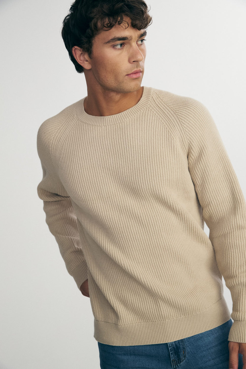 Solid crew neck raglan sweater