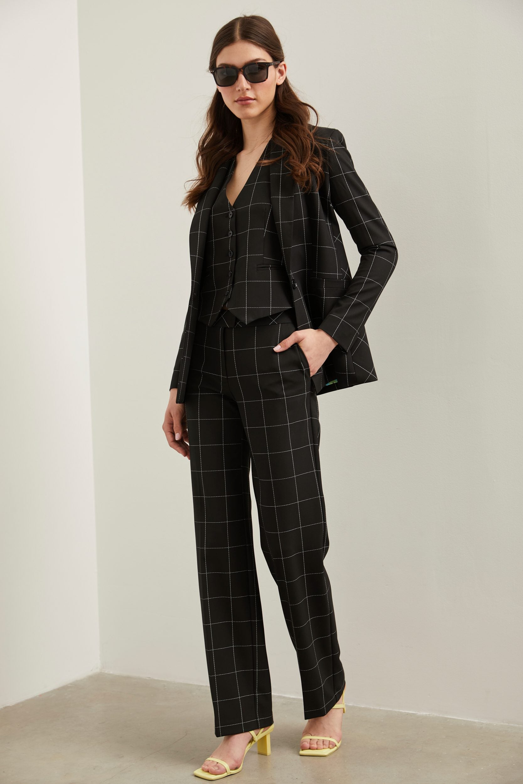 Windowpane Basic Modern fit pant